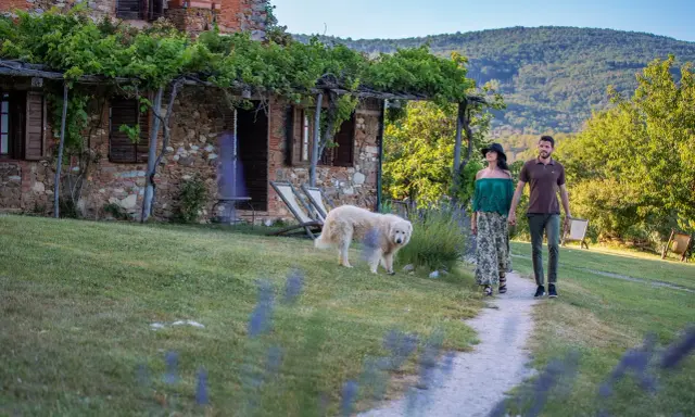 Coppia passeggia con cane in un casale in pietra, tra viti e colline. Sassetta cosa vedere: un luogo da sogno.