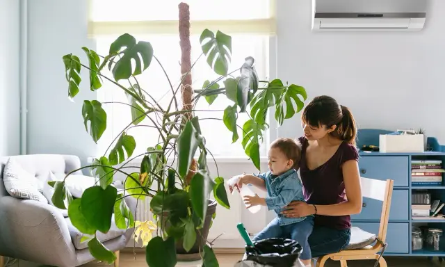 Madre e hijo riegan una planta grande. El aire acondicionado huele a humedad, pero la escena es acogedora.