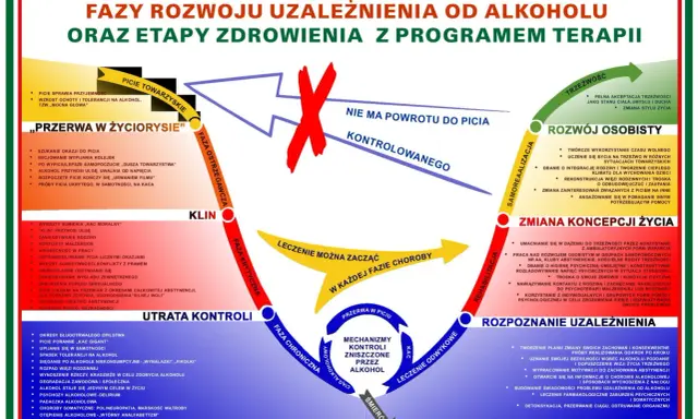 Schemat faz rozwoju uzależnienia od alkoholu i etapów zdrowienia. Lekarz od uzależnień alkoholowych może pomóc w zrozumieniu tych procesów.