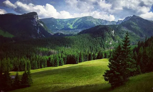 Tatry widziane z Zakopanego: zielone hale, gęste lasy świerkowe i skaliste szczyty pod chmurami.