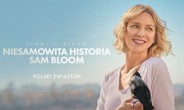 Pozytywne filmy na depresję: 10 tytułów, które podniosą na duchu