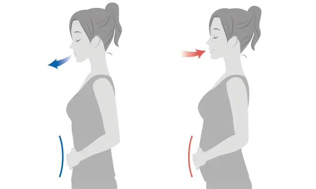 Zwei Silhouetten einer Frau zeigen Atemtechniken. Links: Einatmen, Bauch flach. Rechts: Ausatmen, Bauch wölbt sich, keuchendes Atmen.
