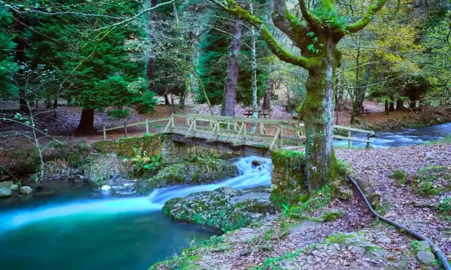 Puente de madera sobre río turquesa, ideal para rutas con niños en Cantabria. Bosque frondoso y cascada.