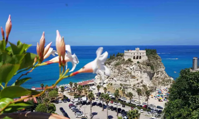 Fiori bianchi in primo piano con vista su Tropea e dintorni: il Santuario, la spiaggia affollata e il mare blu.