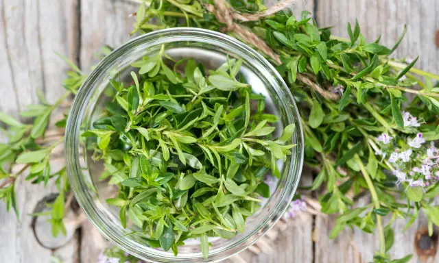 Świeży tymianek w szklanej miseczce, gotowy do użycia. Gałązki z drobnymi kwiatkami podkreślają jego naturalne piękno, jakby przygotowany dla przyszłej mamy.
