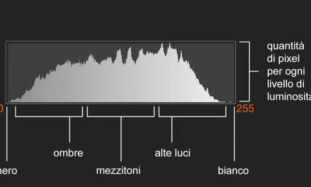 Un istogramma mostra la distribuzione dei pixel per ogni livello di luminosità, da nero (0) a bianco (255), evidenziando ombre, mezzitoni e alte luci.