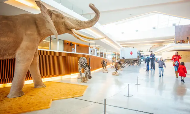 Elefante, cebra y otros animales en exhibición, ideal para actividades niños Granada gratis. Familias observan la exposición.