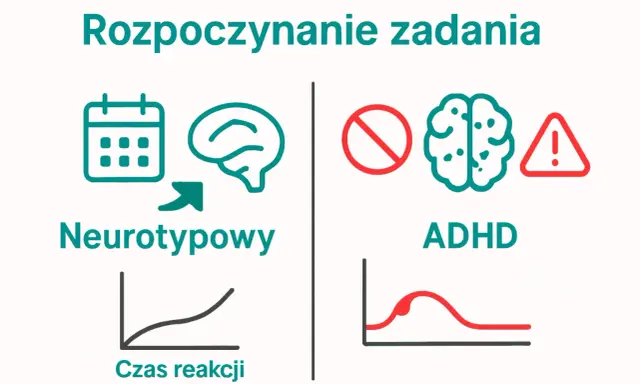 Rozpoczynanie zadań: neurotypowi vs ADHD. Grafika ilustruje różnice w reakcji mózgu, sugerując, że dysortografia może wpływać na czas reakcji.