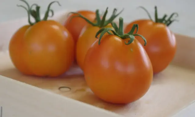 Cinq tomates orangées, comme des ananas noirs, reposent dans une caisse en bois.