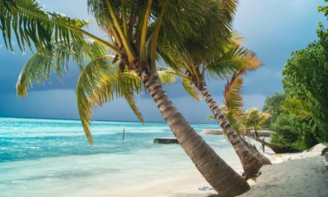 Palmy na plaży, turkusowa woda i ciemne chmury – to Malediwy, co warto wiedzieć o tej rajskiej wyspie.