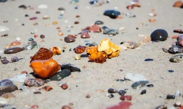 Kilka kawałków bursztynu o różnych odcieniach żółci i brązu leży na piaszczystej plaży wśród mokrych kamyków.
