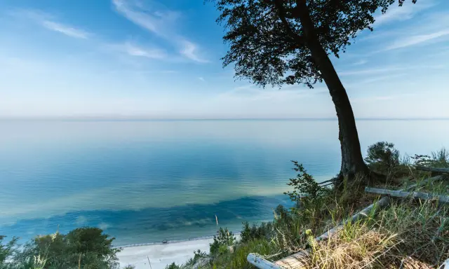 Widok na spokojne morze z klifu w Międzyzdrojach. Drzewo na pierwszym planie, plaża w oddali. Piękne międzyzdroje atrakcje przyrodnicze.