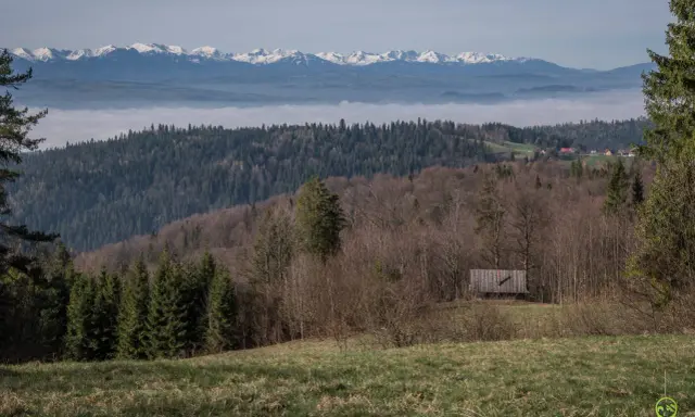 Widok na góry z mgłą w dolinie, lasy i drewniana wiata. To może być najładniejsza trasa na Turbacz.