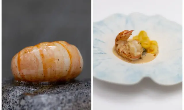 Crevette sur pierre et crevette avec gnocchis, deux présentations de spécialités parisiennes.