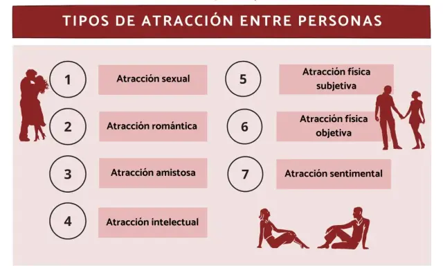 Diagrama de los tipos de atracción entre dos personas: sexual, romántica, amistosa, intelectual, física subjetiva y objetiva, y sentimental.