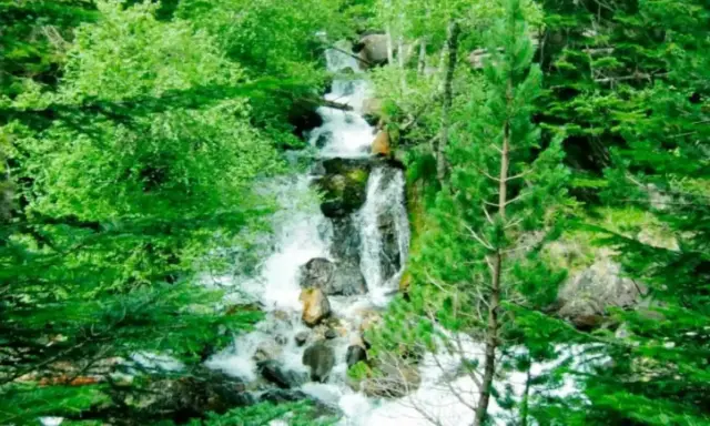 Cascada entre frondosos árboles verdes, ideal para benasque rutas sencillas. El agua desciende por rocas en un entorno natural exuberante.