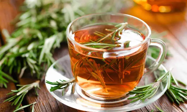 Une tasse de tisane romarin, avec des brins de romarin frais sur la soucoupe et en arrière-plan.