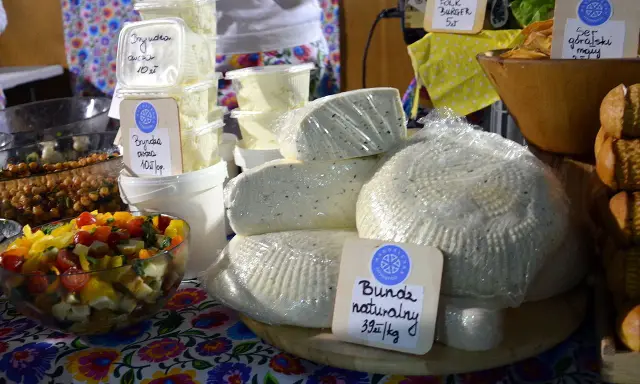 Bryndza: Jak z bundzu rodzi się góralski rarytas? Sekrety produkcji