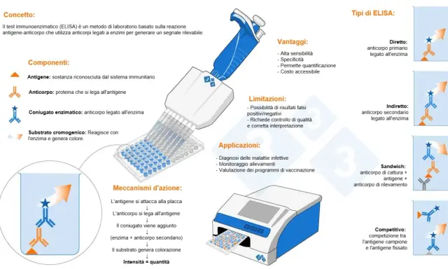 Schema del metodo ELISA: illustra componenti, vantaggi, limitazioni, applicazioni e tipi di test immunoenzimatico.