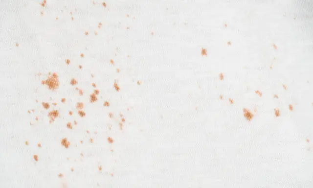 Manchas de óxido en ropa de color blanco. Aprende a quitar manchas de óxido en ropa de color fácilmente.