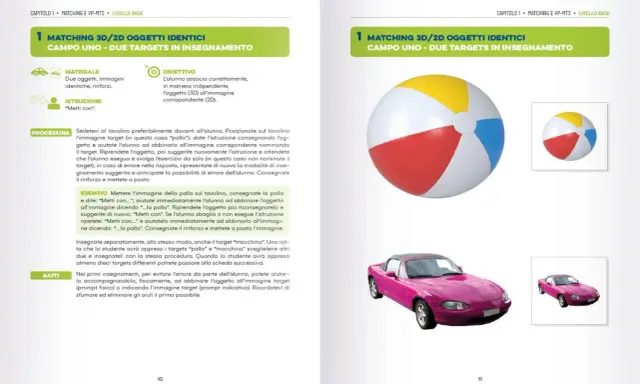 Esercizio di abbinamento 3D/2D: una palla e una macchina rosa. La comunicazione aumentativa alternativa supporta l'apprendimento.