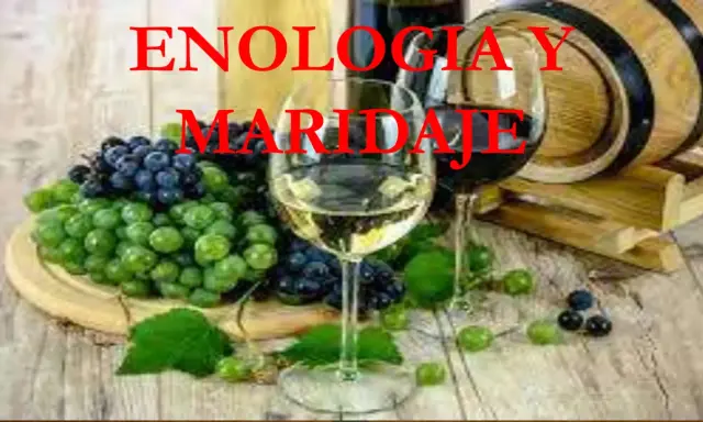 Un tratado de enología sobre el maridaje de vinos y uvas. Copas de vino, uvas verdes y moradas, y un barril de madera.