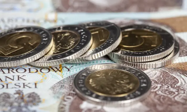 Złote monety i banknoty Narodowego Banku Polskiego. Czy dodatek pielęgnacyjny to wsparcie, czy zasiłek pielęgnacyjny?