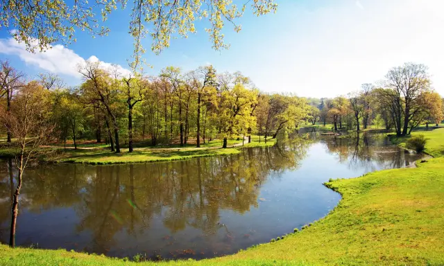 Malowniczy park z jeziorem i drzewami w wiosennej odsłonie. Idealne miejsce na spacer i podziwianie łęknica atrakcje.
