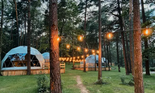 Nastrojowe **glamping w Polsce**. Kopuły mieszkalne w lesie, oświetlone girlandą żarówek.