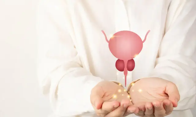 Dłonie trzymające symbol prostaty, nawiązanie do łagodnego przerostu prostaty u psa.