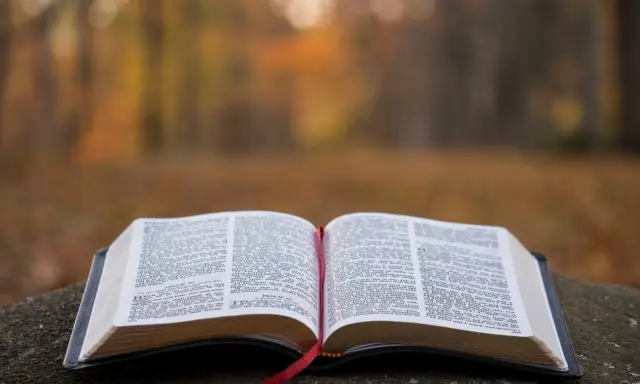 Otwarta Biblia na kamieniu, w tle jesienny las. Wzmianka o św. Marku patronie.