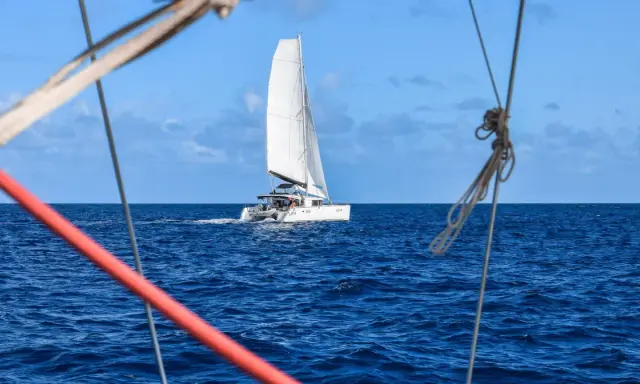 Un catamaran blanc navigue sur l'océan bleu. La durée de la traversée de l'Atlantique en bateau est longue, mais la beauté du voyage est inestimable.