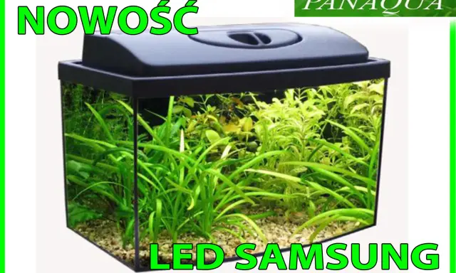 Nowość! Akwarium 60l z bujną roślinnością i oświetleniem LED Samsung. Idealne do stworzenia podwodnego świata.