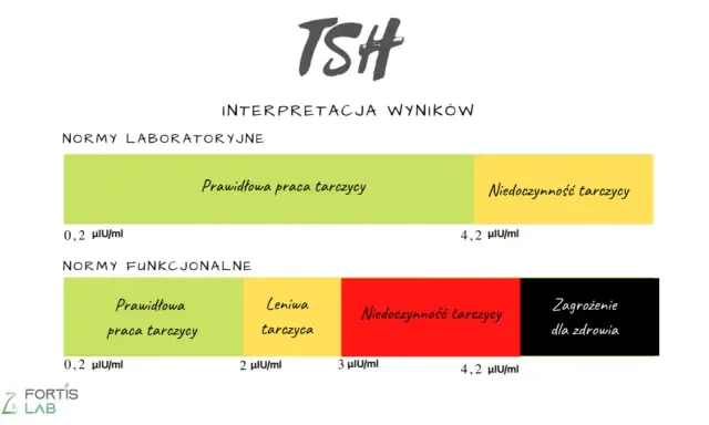 TSH: Co to za badanie? Normy, objawy i interpretacja wyników