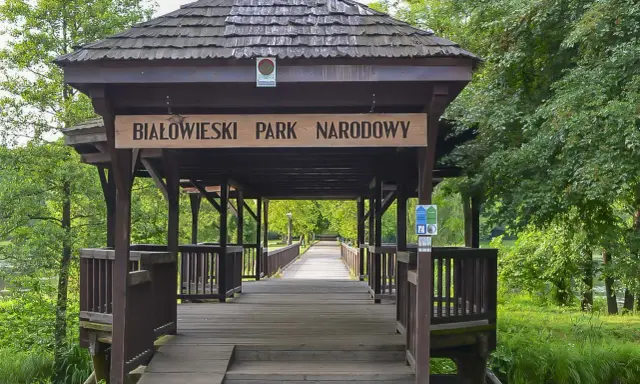 Drewniany mostek prowadzi do Białowieskiego Parku Narodowego, najstarszego parku narodowego w Polsce.