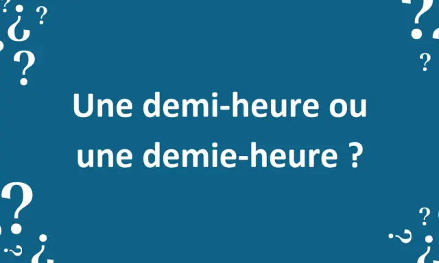 Des points d'interrogation entourent le texte "Une demi-heure ou une demie-heure ?". La conjugaison du verbe dépendre est ici mise en question.