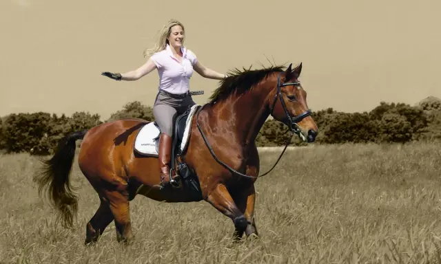 Glückliche Frau lernt reiten, genießt den Ritt auf einem braunen Pferd durch hohes Gras.