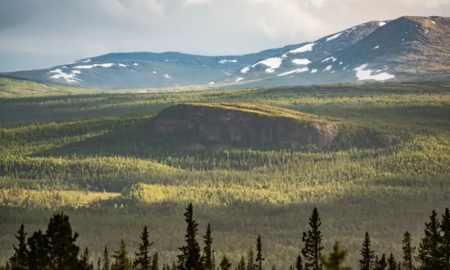 Välkommen till Vålådalens naturreservat! En vidsträckt vy över fjäll, skog och snöfläckar under en dramatisk himmel.
