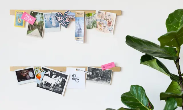 Zwei Holzleisten mit Fotos, Postkarten und Notizen an einer weißen Wand, daneben eine Monstera.