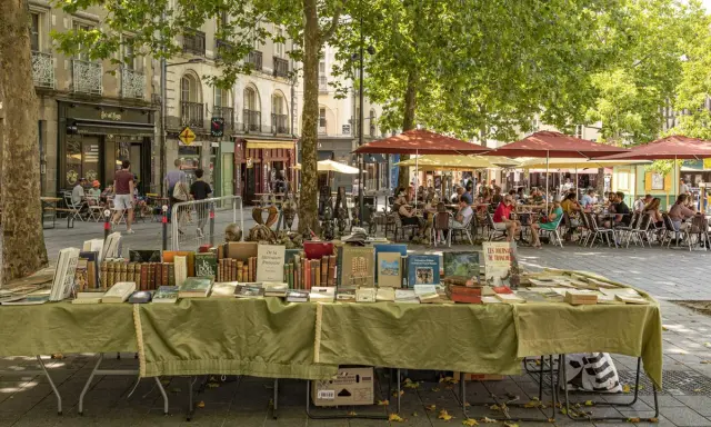 Ein Buchstand mit alten Büchern auf einem sonnigen Platz in Rennes, Frankreich. Im Hintergrund sitzen Menschen in einem Straßencafé.