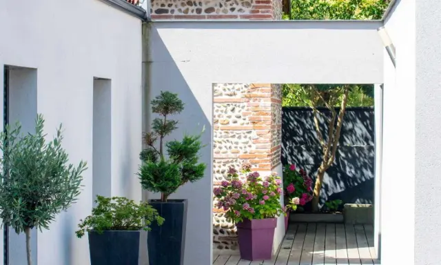 Idée aménagement jardin devant maison : olivier et conifères en pots, passage vers un patio en bois avec hortensias.