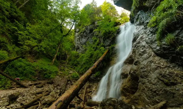 Wodospad na ferracie HZS Kyseľ, otoczony bujną zielenią i powalonymi drzewami.
