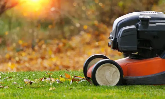 Lawn mower ready for fall lawn maintenance. Fallen leaves litter the green grass as the sun sets.