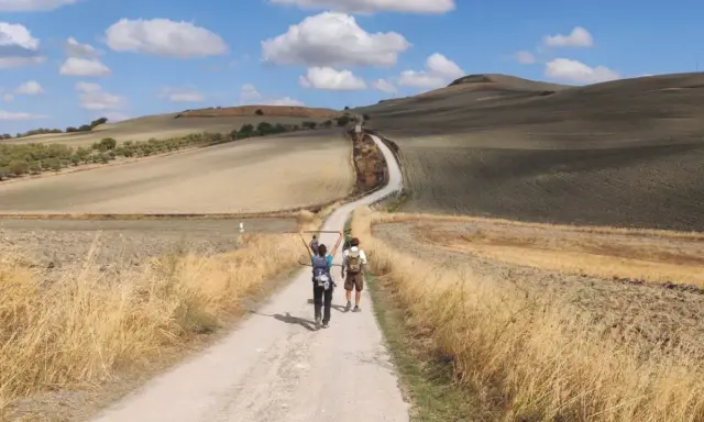 Due pellegrini camminano su una strada sterrata in un paesaggio collinare, forse da dove parte la Via Francigena.