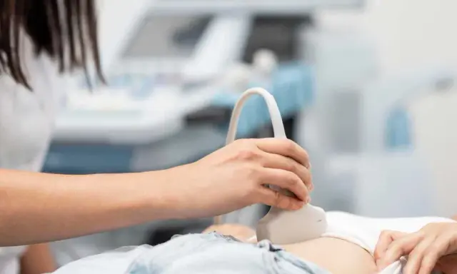 Badanie USG jamy brzusznej. Pęcherz moczowy słabo wypełniony może oznaczać potrzebę nawodnienia lub inne przyczyny.