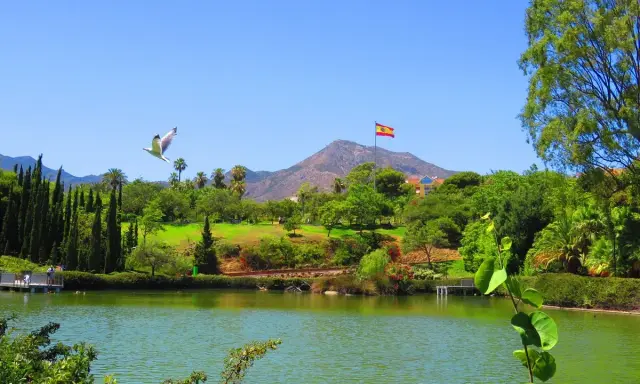 Lago sereno en el parque de la Paloma, con una gaviota volando y la bandera española ondeando. ¡Un lugar hermoso para visitar!