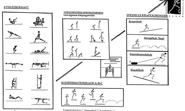 Übungen für Kraft, Ausdauer und Koordination im Nachwuchstraining. Verschiedene Sprungformen, Bergläufe und Zugwiderstandsläufe.