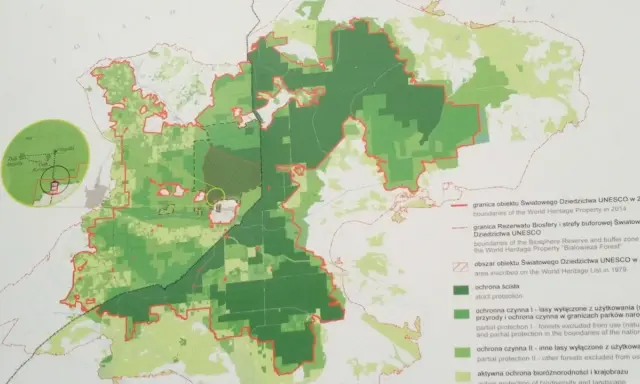Mapa Puszczy Białowieskiej z zaznaczonymi strefami ochrony. Plan zwiedzania uwzględnia granice UNESCO i Rezerwatu Biosfery.