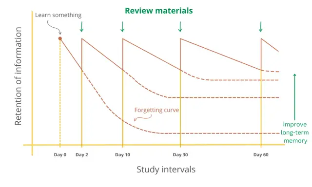 Grafiek toont hoe herhaling de 'forgetting curve' tegengaat en langetermijngeheugen verbetert.