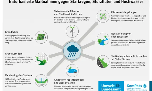 Naturbasierte Maßnahmen gegen Starkregen: Gründächer, Grünkorridore, Feuchtbiotope – alles, was hilft, nicht in my backyard.